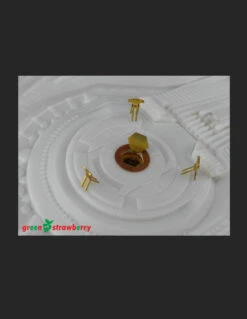 Green Strawberry 06218 - 1/350 NX-326 U.S.S. Franklin Resin & Photoetch Set -Model Toy Kit Store nx 326 uss franklin 3 69717.1675899940