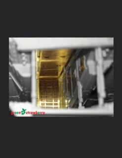 Green Strawberry 06418-1/72 YT-1300 "Millennium Falcon" - Landing Gear Photoetch Set -Model Toy Kit Store yt 1300 millennium falcon landing gears 2 98892.1653417548